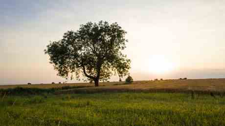 Klimawandel ist gut fuer britische Landwirte – Umweltminister – World