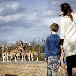 Den Stadtrat koennt ihr dieses Jahr im Safari Park oder