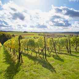 Sued Limburg ist als inlaendisches Urlaubsziel beliebt