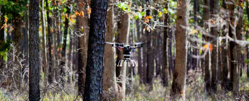 Treeswift verwendet Drohnen zur Ueberwachung von Waeldern – Tech