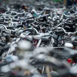 Fahrraddieb aus Breda kurz nach Fahrraddiebstahl in Bavel festgenommen