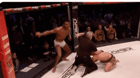 Fans sind begeistert als der MMA Kaempfer den atemberaubenden Knockout of