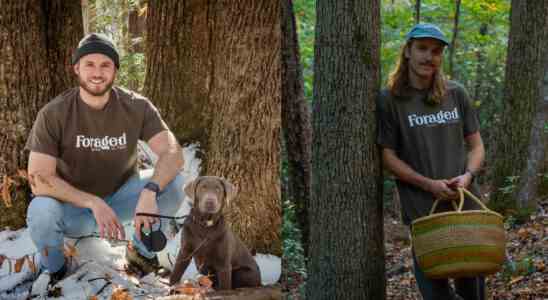 Lust auf „wilde Speisen Der Marktplatz von Foraged deckt all