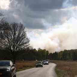 Natuurmonumenten gibt nach einem Grossbrand auf dem Sallandse Heuvelrug eine