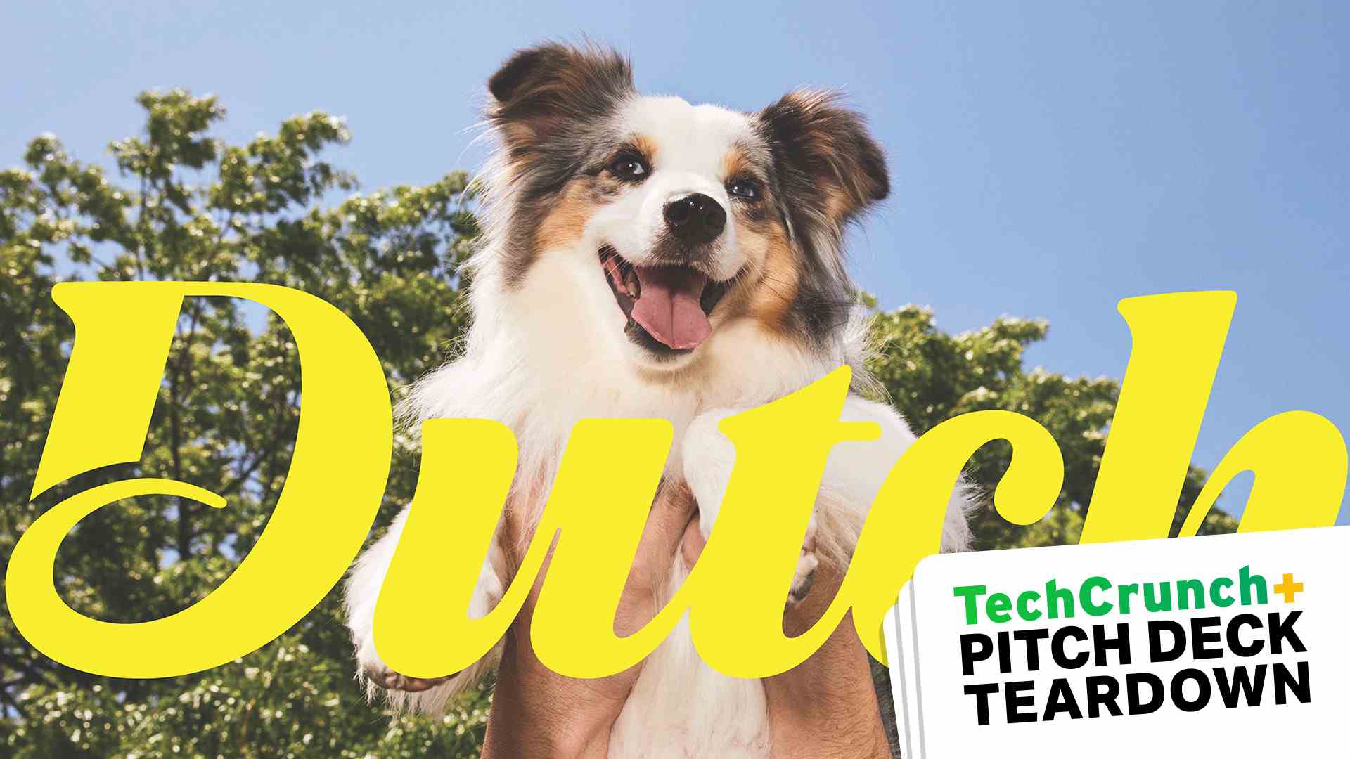 Pitch Deck Cover Slide mit einem süßen Hund, dem Wort DUTCH und TechCrunch Pitch Deck Teardown überlagert