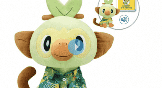 Pokemon Grookey der beste Starter der 8 Generation ist jetzt