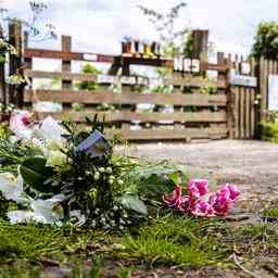 Schuetze Alblasserdam musste Pflegefarm 2017 wegen „unerwuenschter Beziehung verlassen