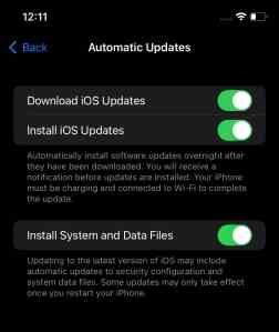 Der neue Umschalter für Softwareupdates in iOS 16 Developer Beta ermöglicht automatische Sicherheitsupdates