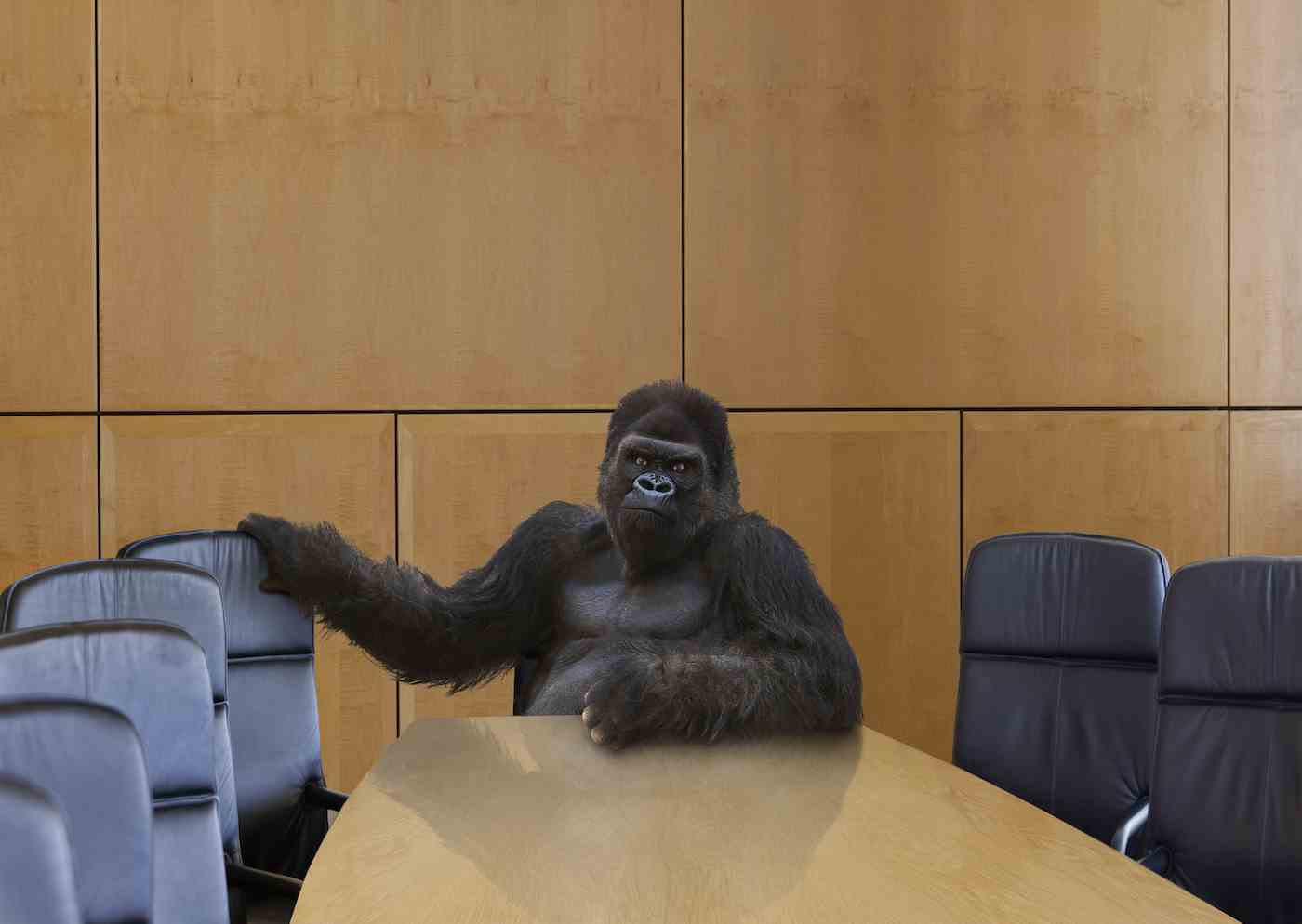 Ein bedrohlicher Gorilla sitzt am Kopfende des Konferenztisches und winkt dem Betrachter, sich neben ihn zu setzen.