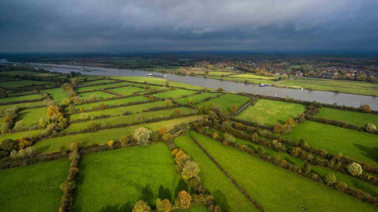 Wo Hecken auf Ackerland zurückkehren, nimmt die Biodiversität wieder zu.