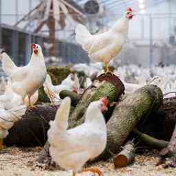 Ist die Kreislaufwirtschaft die Zukunft „Umarme den Landwirt der Pionierarbeit