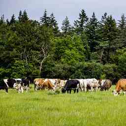 Naturschutzorganisationen zufrieden mit Stickstoffplaenen Landwirte veraergert und enttaeuscht JETZT