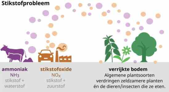 Stickstoffplaene Minderung von mindestens 95 Prozent in Naturschutzgebieten JETZT