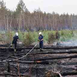 Waldbraende bei Berlin nach Regenfaellen unter Kontrolle JETZT