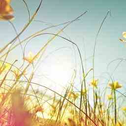 Wetterbericht Morgen beginnt frisch spaeter strahlende Sonne mit wenig Wind