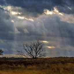 Wettervorhersage Im Westen etwas Schauer im Osten etwas Sonne