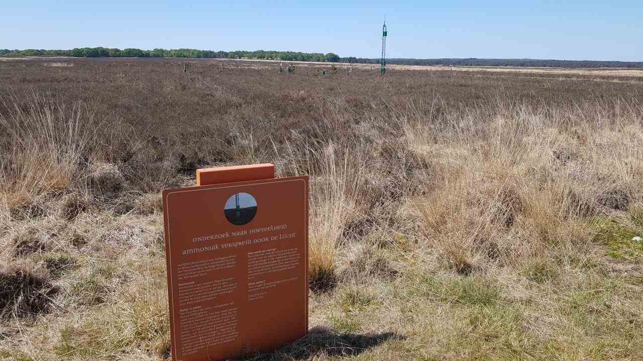 Stickstoffmessstation auf einem Heidefeld auf der Hoge Veluwe.  Um ihn herum teilweise Begrünung mit Pfeifenstroh wegen Stickstoffbelastung.