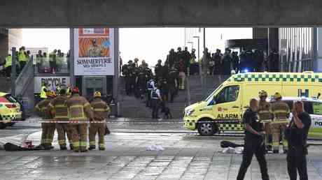 Die daenische Polizei startet eine gross angelegte Fahndung nach einer