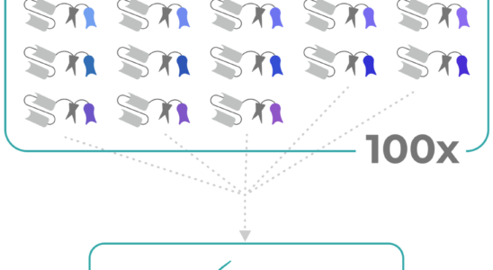 Die molekularen „Barcodes von Manifold Bio koennten den In vivo Engpass der