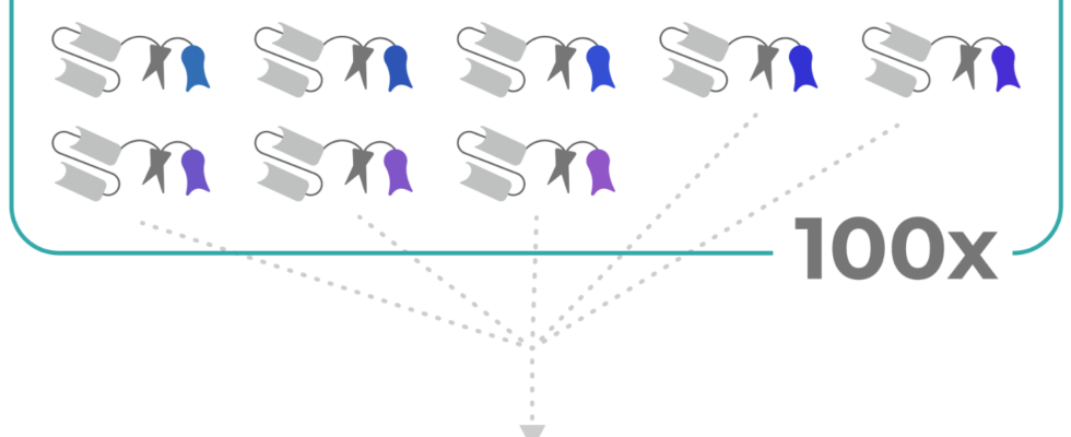 Die molekularen „Barcodes von Manifold Bio koennten den In vivo Engpass der