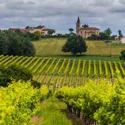 Dutzende bei Bordeaux Weinbetrug festgenommen JETZT