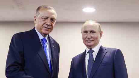 Erdogan erklaert Putin dem Westen — World