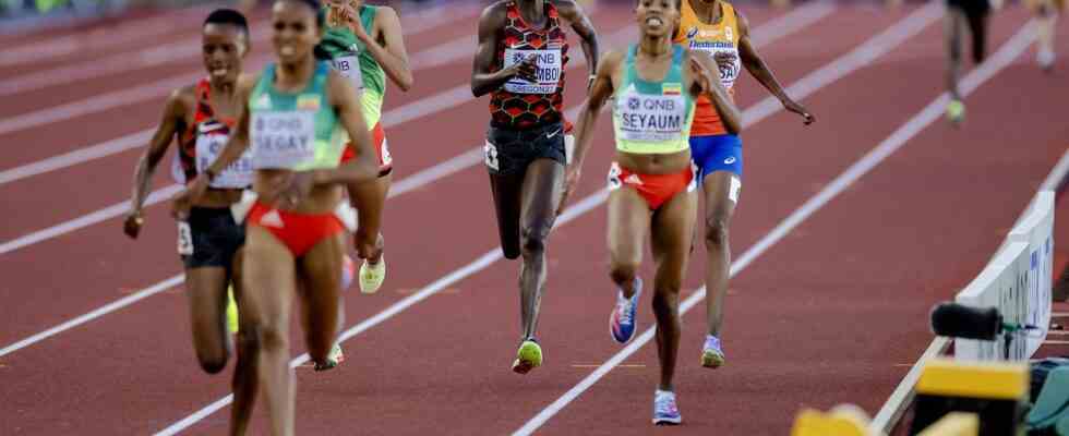 Hassan beendet die WM ohne Medaille „Ich habe hier eine