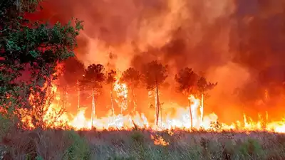 Hunderte weitere wurden aus ihren Haeusern evakuiert als sich Waldbraende