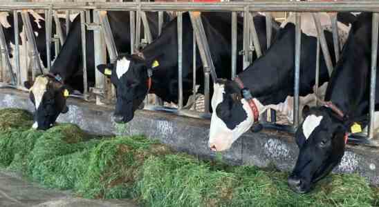 Landwirte sagen „Gib uns Zeit es ist wirklich viel moeglich