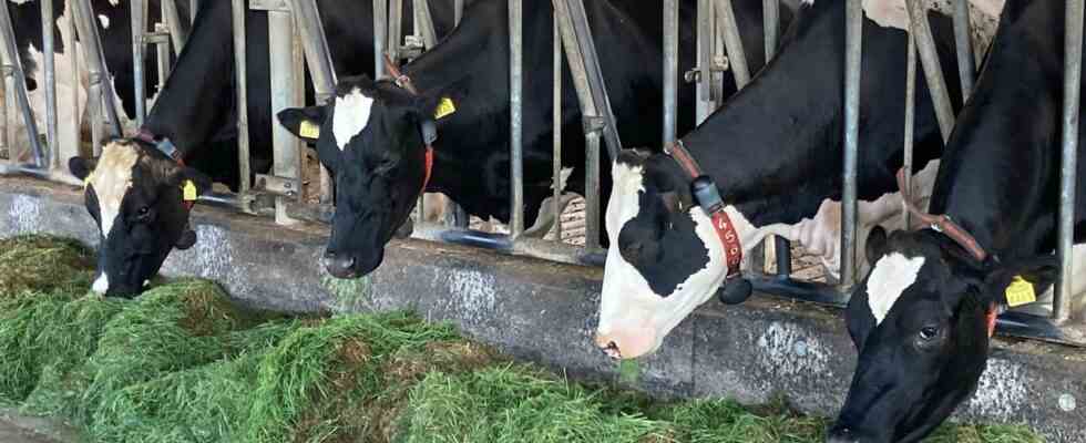 Landwirte sagen „Gib uns Zeit es ist wirklich viel moeglich