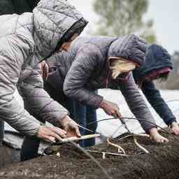 Mehr als 24000 ukrainische Fluechtlinge finden in unserem Land Arbeit