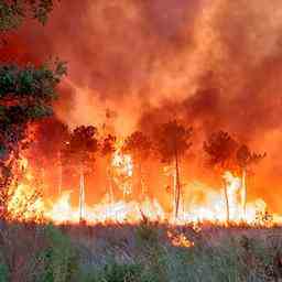 Waldbrand in Bordeaux zerstoert Immobilien Grossbrand bleibt unkontrollierbar JETZT