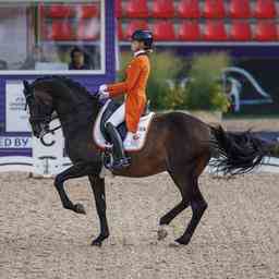 Dressurreiter qualifizieren sich dank Platz fuenf fuer die Olympischen Spiele