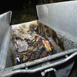 Erneut Brandstiftung in Nijkerk Papiercontainern in Paasbos JETZT