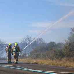 Feuer in Duenengebiet bei Brouwersdam Ferienpark teilweise evakuiert JETZT