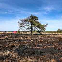 Feuerwehr setzt wegen hoher Waldbrandgefahr zusaetzliche Loeschfahrzeuge ein JETZT