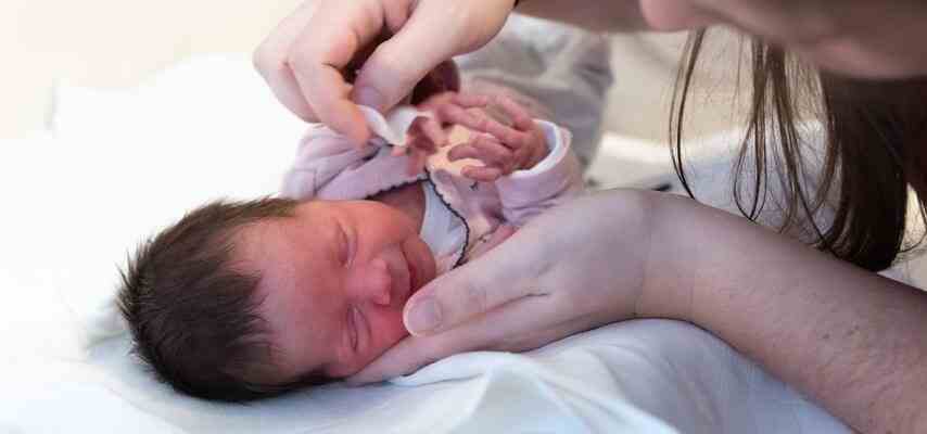 Foto von Ihrem Fruehgeborenen Diese Foundation faengt Mini Babys liebevoll ein