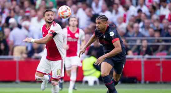 Schreuder bewundert die Haltung des ausgeraubten Tadic „Ihm geht es