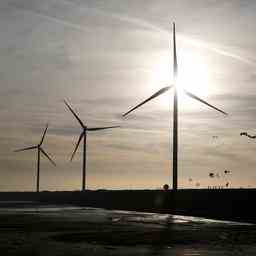 Borne will immer noch keine Windkraftanlagen auch jetzt wo die