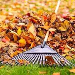 Der Herbst kommt die perfekte Zeit um Ihren Garten zu