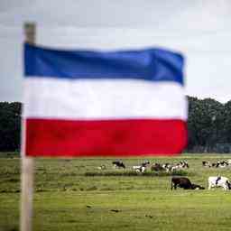 Farmer Flags durften lange Zeit in Eemnes haengen aber jetzt