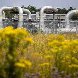 Gasspeicher in den Niederlanden zu 80 Prozent gefuellt EU Ziel erreicht