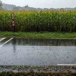 Wetterbericht Grau frisch und bewoelkt aber ab und zu noch