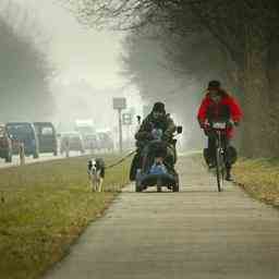 Wettervorhersage Code gelb wegen dichtem Nebel in fast dem ganzen