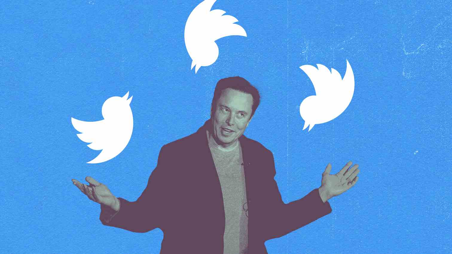 Elon Musk collagiert mit Twitter-Logos