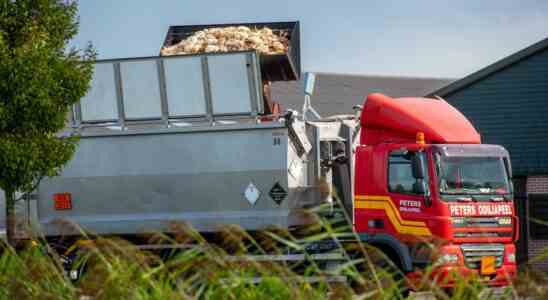 Betroffener Landwirt ueber Vogelgrippe „Man spuert wie die Traenen kommen