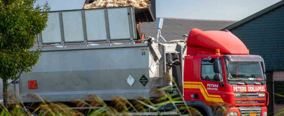 Betroffener Landwirt ueber Vogelgrippe „Man spuert wie die Traenen kommen