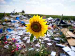 OM eist viermaal levenslang voor neerhalen vlucht MH17