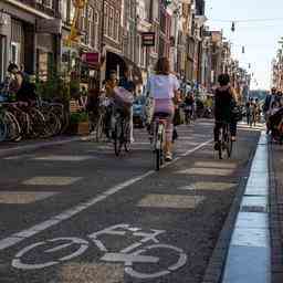 Amsterdam nutzt Baumbunker fuer mehr Gruen in der Stadt