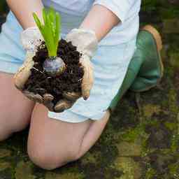 Die Einwohner von Deventer machen die Umwelt gruener JETZT